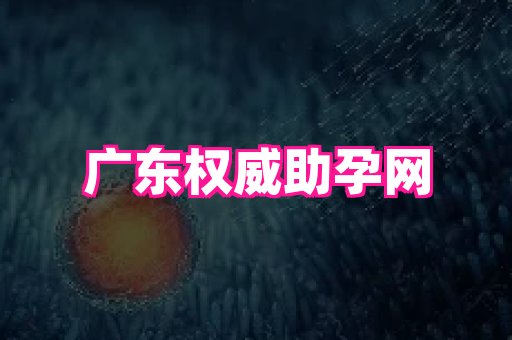swisee孕网 1