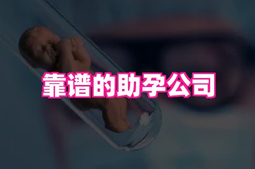 swisee孕网 3