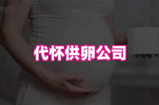 swisee孕网 4